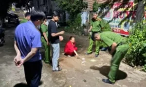 Người làm thuê trộm vàng, kim cương của cô chủ